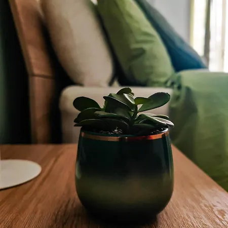 Ament's Отель типа 