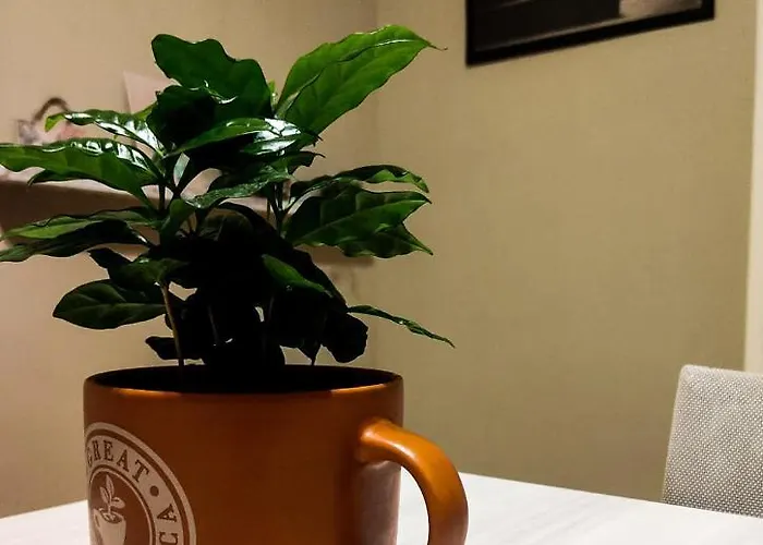 Frühstückspension Ament's Syrakus